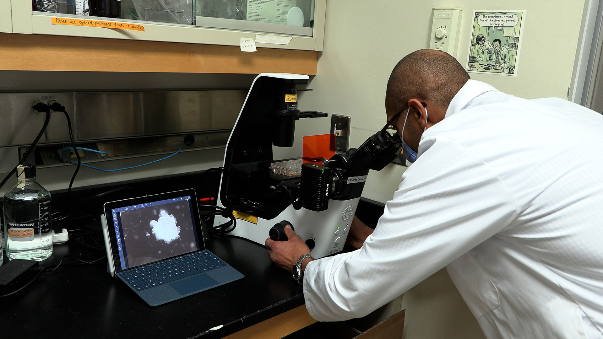 Dr. Samuel Asfaha at the microscope