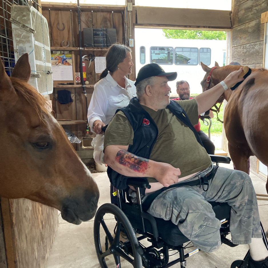 a person in a wheelchair pets a horse