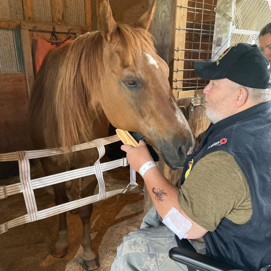 person embracing a horse in a stable