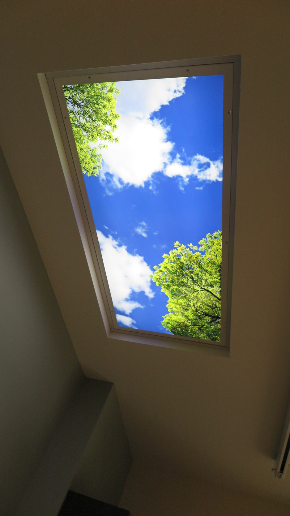 skylight